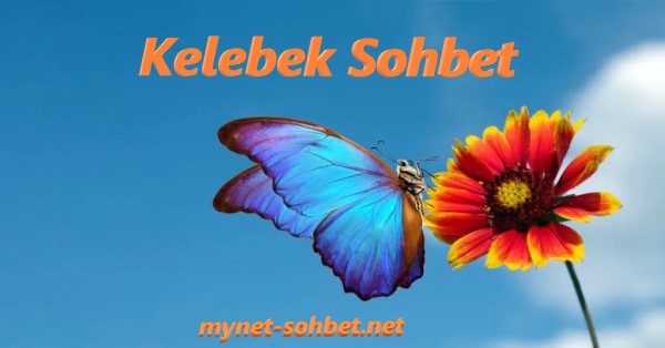 Kelebek Sohbet